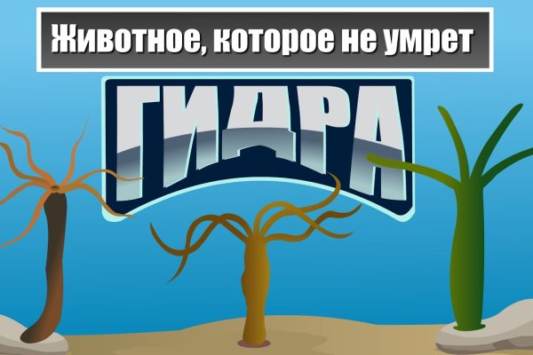 Браузер для кракен