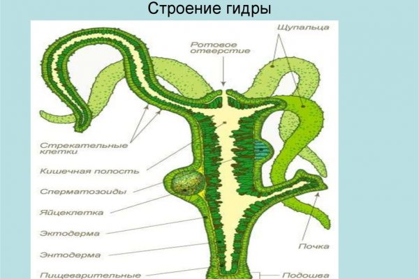 Кракен сайт 17at